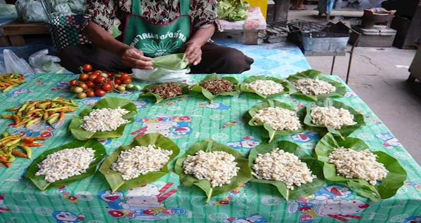 popular-dishes-in-thailand