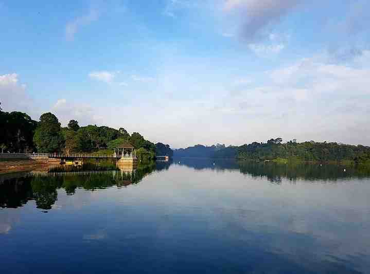MacRitchie Reservoir - Best Place To Visit in Singapore