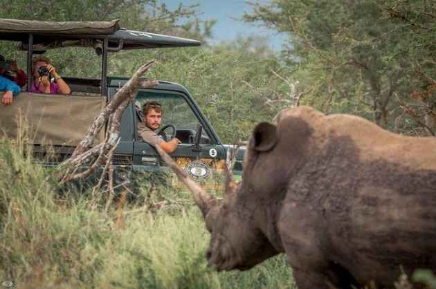 Addo Elephant National Park