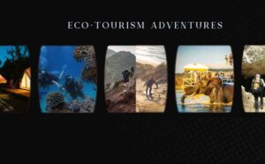 Eco Tourism Adventures